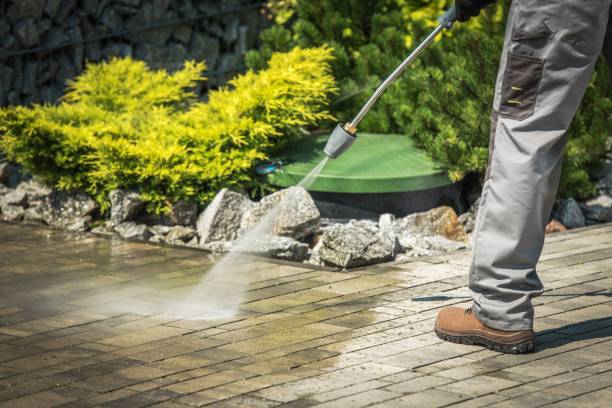 Best Driveway Pressure Washing  in Lagrange, IN